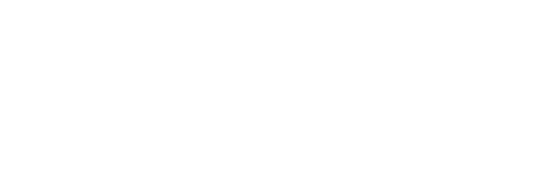 LS2 Helmets logo