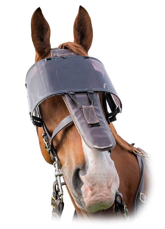 Lazer-Shield safety glasses laser beam eye protection for horse mounted police officers