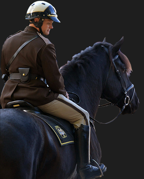 Super Seer Horse Mounted Patrol Helmets